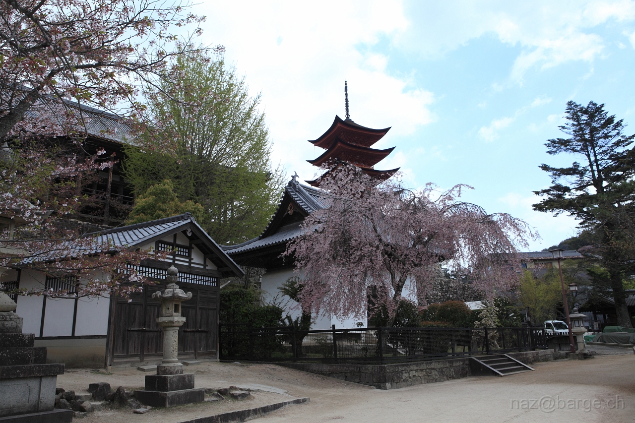 EOS 5D Mark II10_04_20134320.JPG